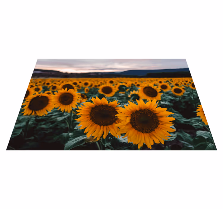 Tischsets originell sonnenblumenfeld ansicht - TenStickers