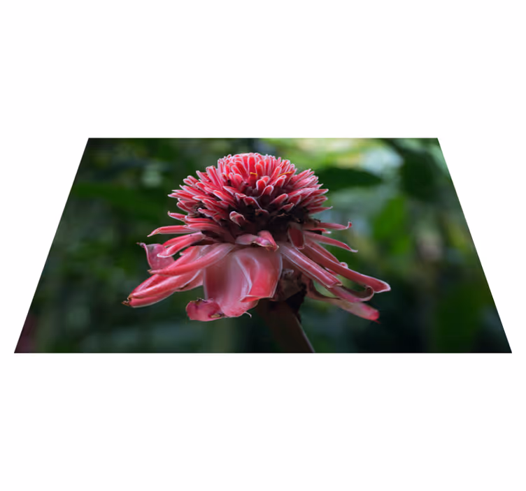 Tischsets originell tropisches blumenarrangement - TenStickers