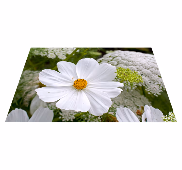 Tischsets originell elegante weiße blüten - TenStickers