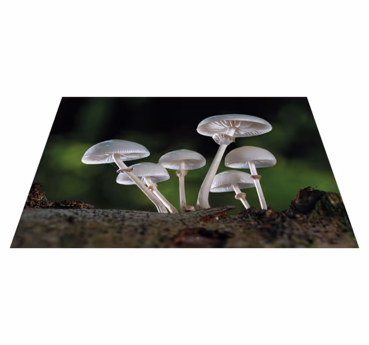 Tischsets originell mit vintage holzbesteck - TenStickers