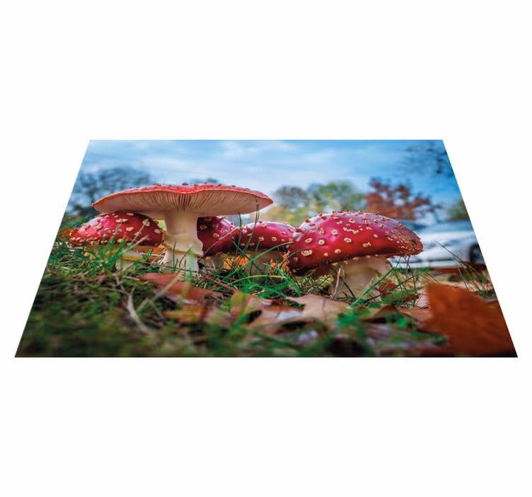 Tischset modern Roter fliegenpilz - TenStickers