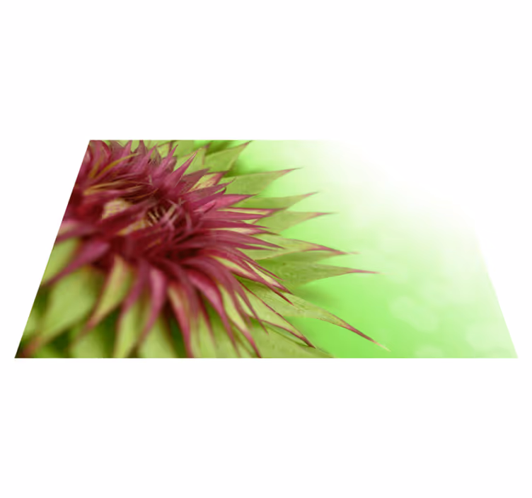 Tischset Bild elegante Distel - TenStickers