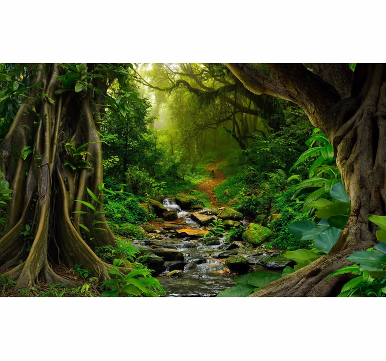 Fototapete wald tropische wald oase - TenStickers