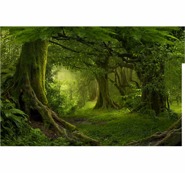 Fototapete wald üppige waldflucht - TenStickers