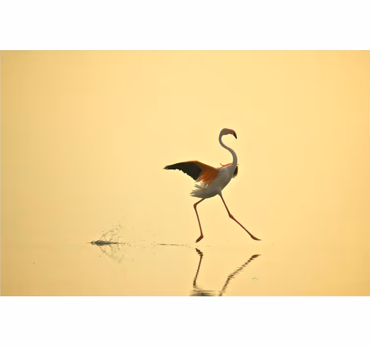 Fototapete gelb mit lustigen laufenden flamingos - TenStickers