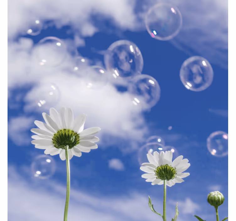 Fototapete blau mit gänseblümchen und blasen - TenStickers