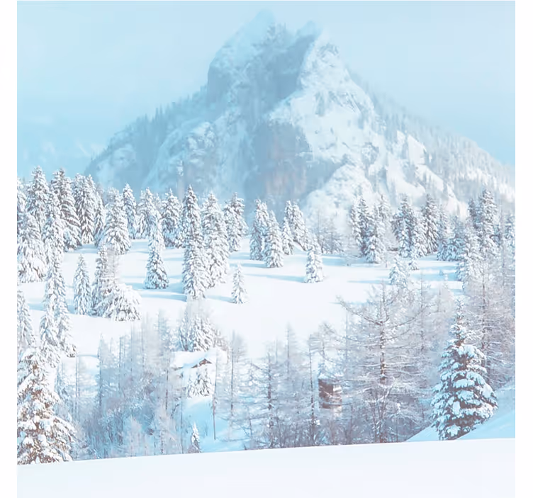Fototapete blau winterästhik fotografie - TenStickers