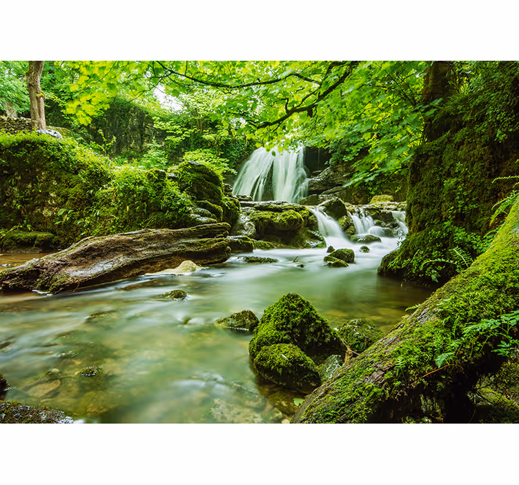 Wasserfall Fototapete mit dschungellandschaft - TenStickers