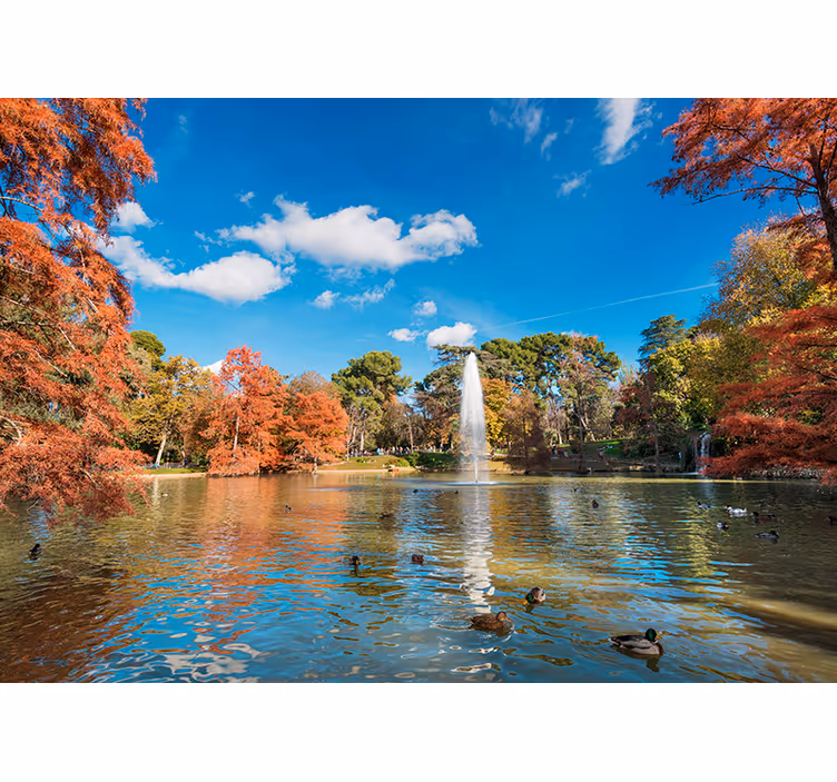 Retiro park im herbst fototapete - TenStickers