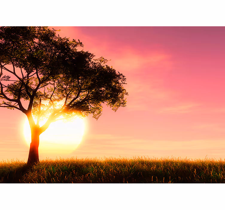 Sonnenuntergang über einem Feld Baum Wandtapete - TenStickers