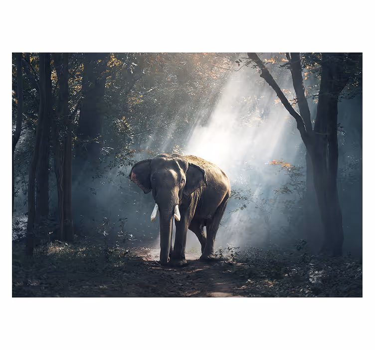 Elefant im Wald Tier Fototapete - TenStickers