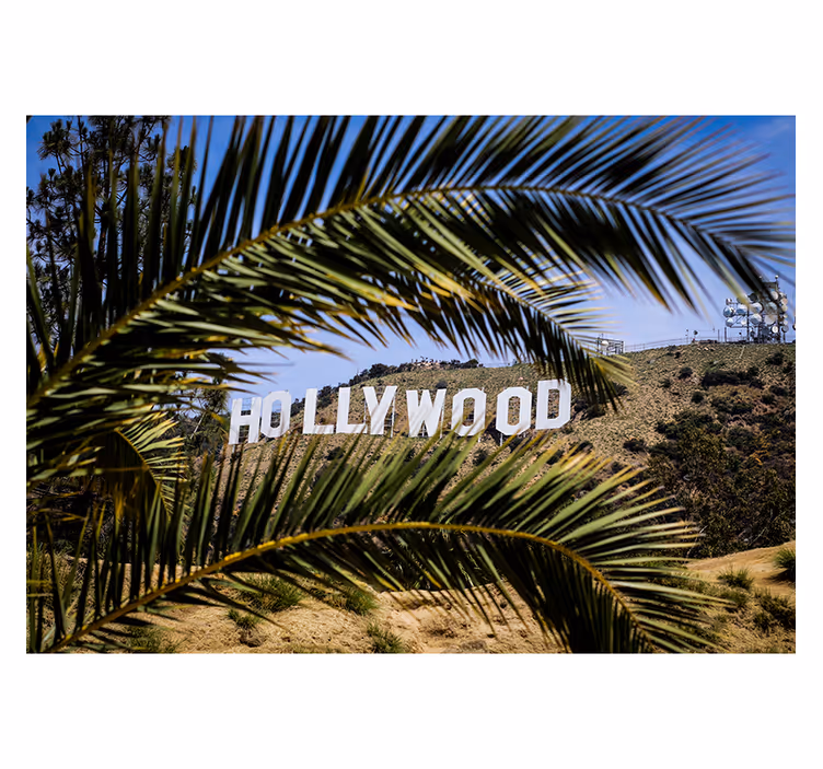 Hollywood Zeichen und Palme Fototapete - TenStickers