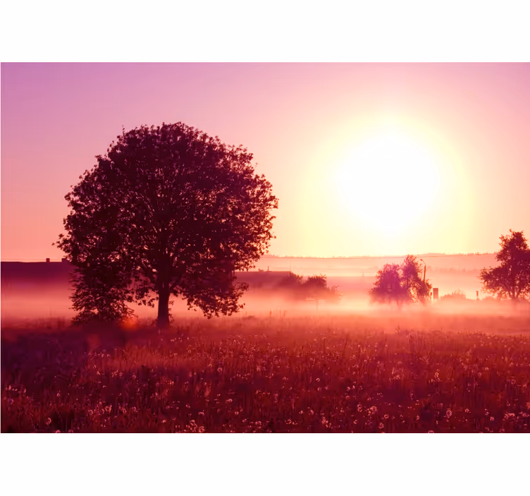 Fototapete natur silhouette eines baumes im sonnenuntergang - TenStickers