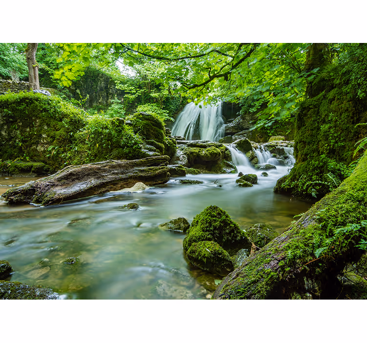 3D Tapete Fluss in einem Wald - TenStickers