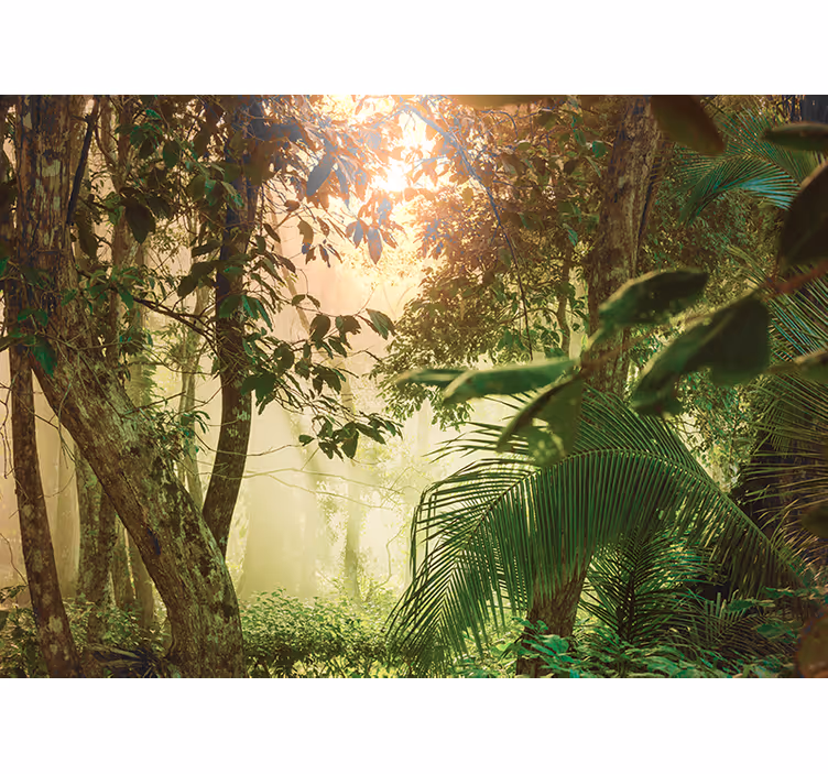 Fototapete natur sonniger waldblick - TenStickers