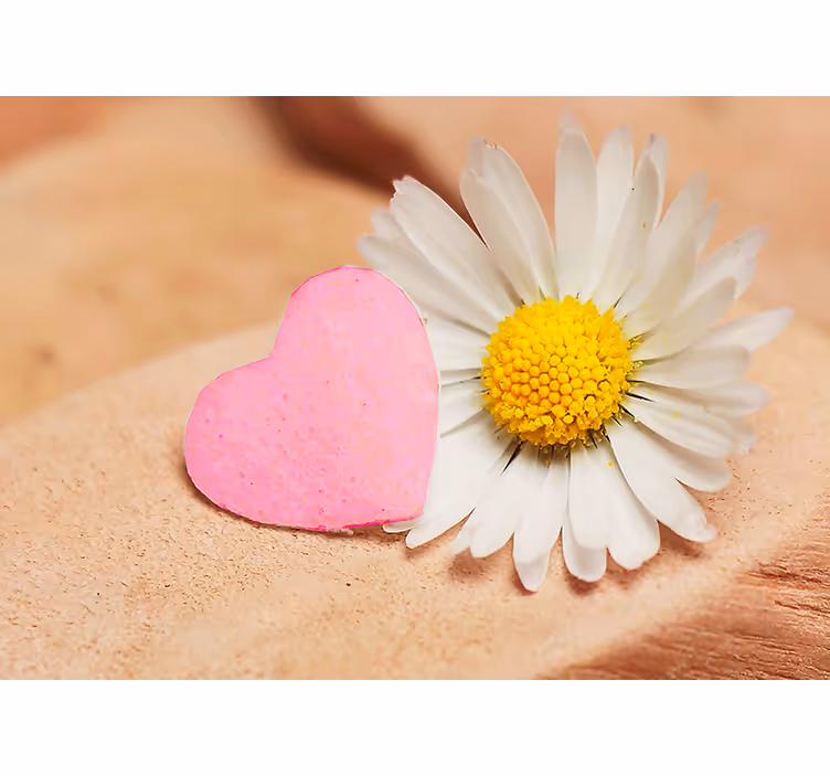 Fototapete Liebe Herzen und weiße blume - TenStickers