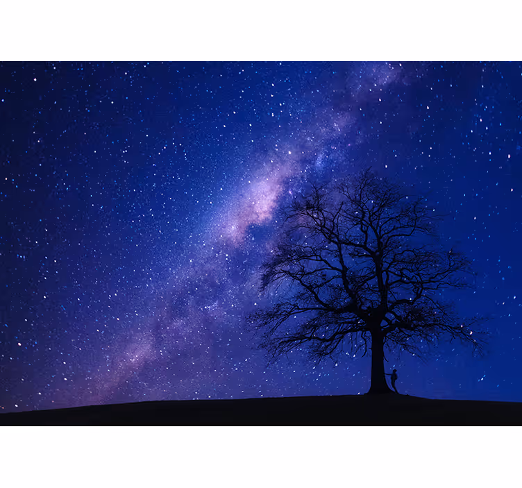 Fototapete 3D Baum in der nacht - TenStickers