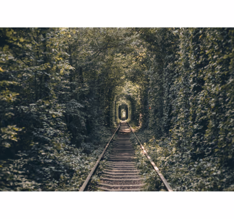 Fototapete Landschaft waldtunnelweg - TenStickers