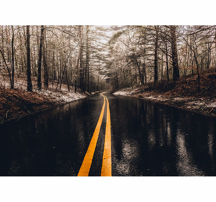 Fototapete Straße Nasse straße im wald - TenStickers