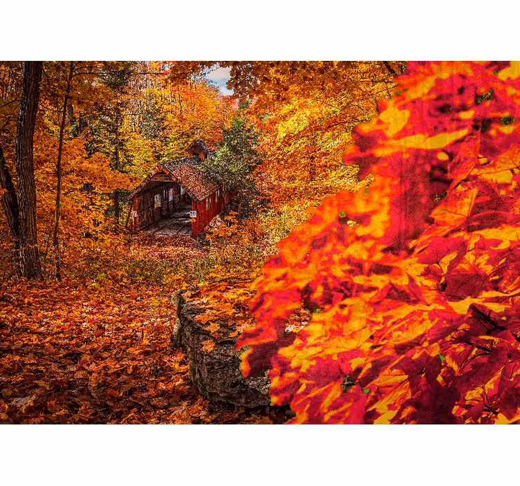 Fototapete landschaft herbst cottage - TenStickers