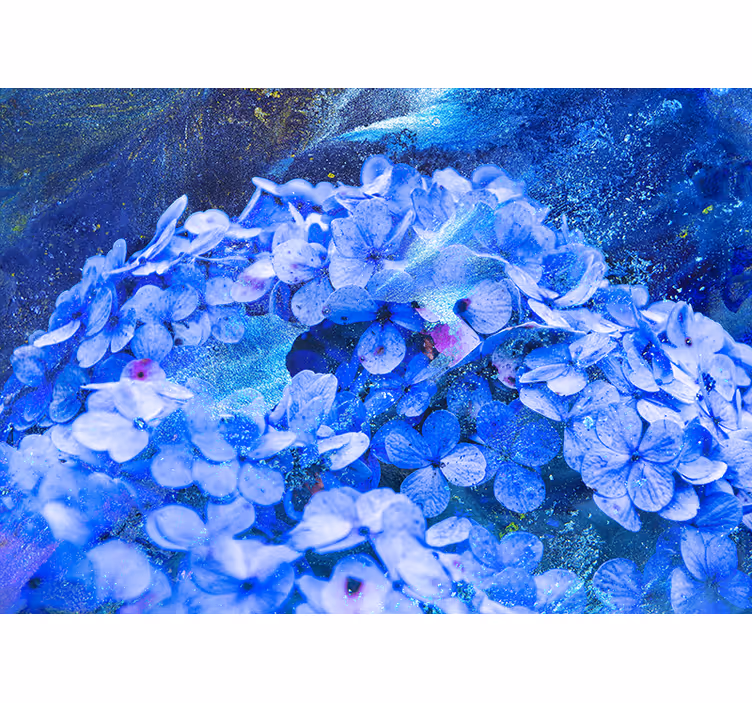 Fototapete Blumen blaues blumenarrangement - TenStickers