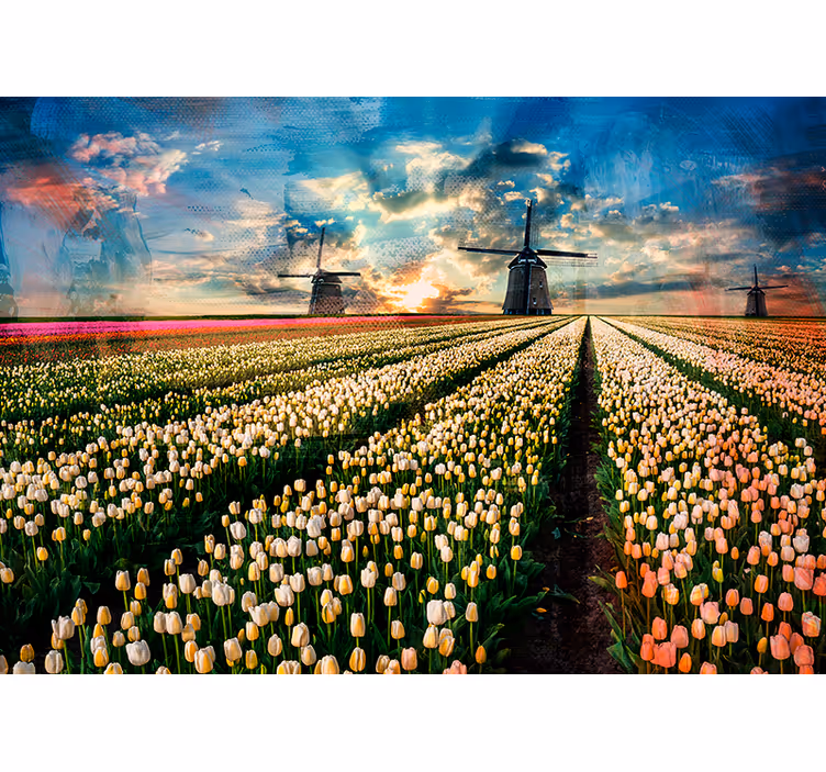 Fototapete Tulpen Niederländische tulpen - TenStickers