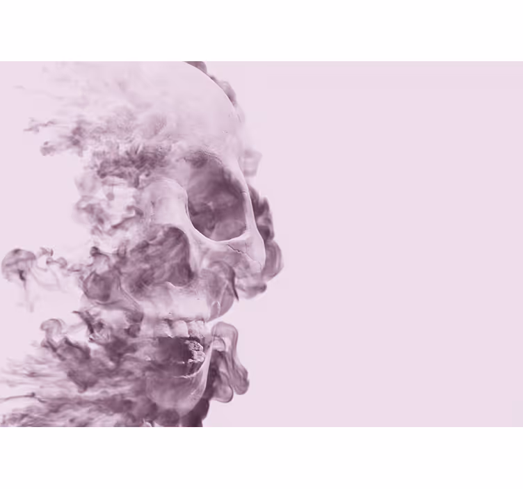 Fototapete Tiere rauchige totenkopfsilhouette - TenStickers
