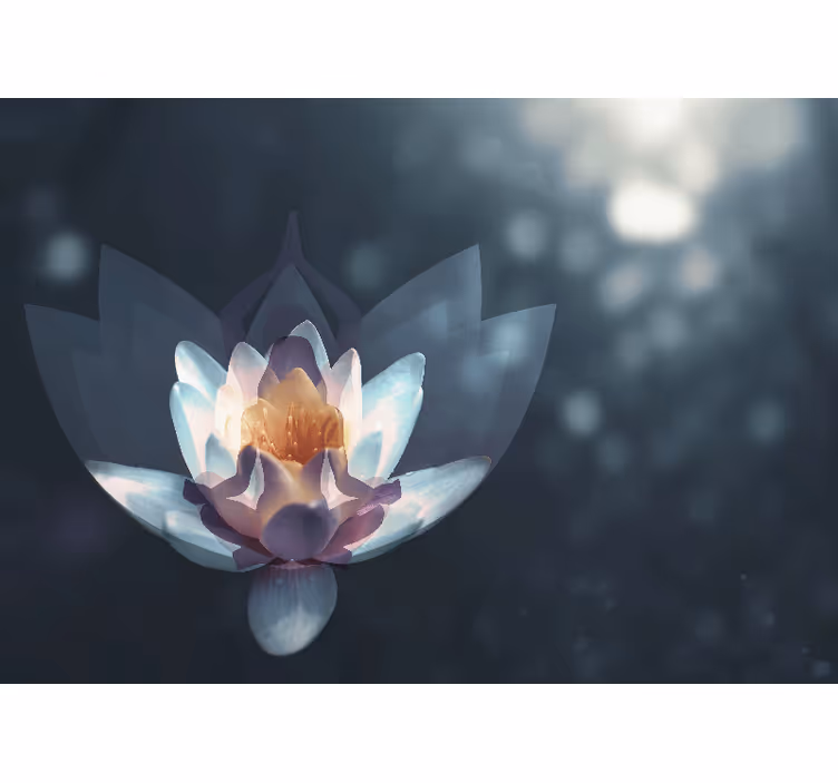 Fototapete Mohnblumen lotusblüten-design - TenStickers
