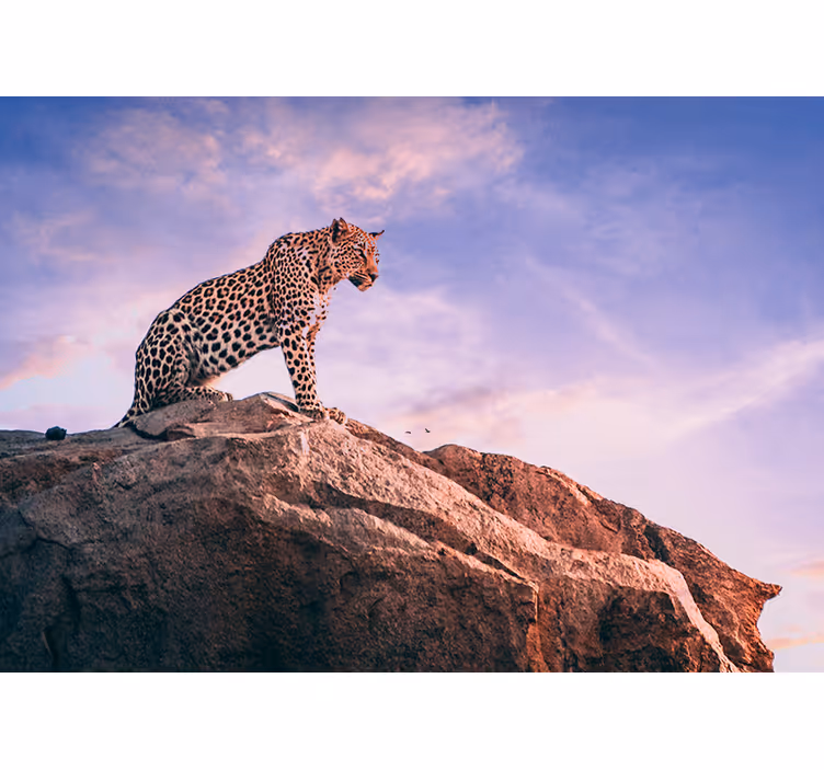 Fototapete Tiere leopard auf felsen - TenStickers