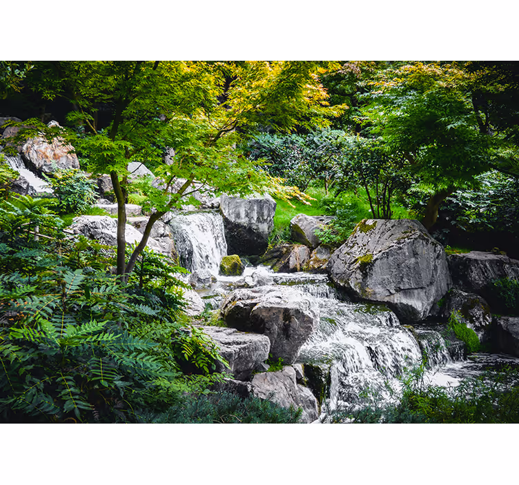 Fototapete natur fließender bach mit steinen - TenStickers