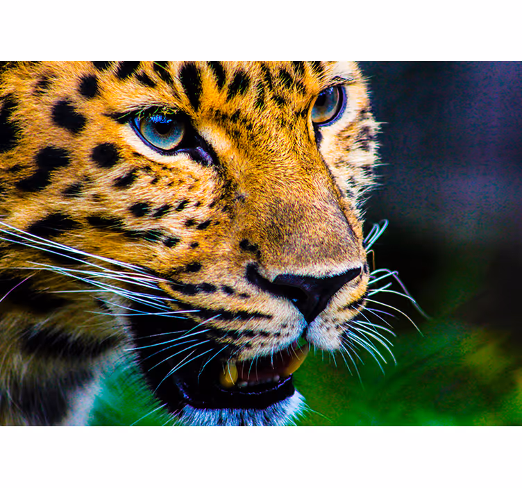 Fototapete Wohnzimmer Leopardengesicht - TenStickers