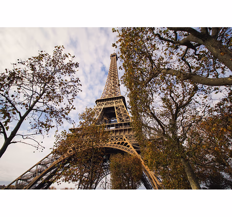 Fototapete Paris Paris mit dem garten - TenStickers