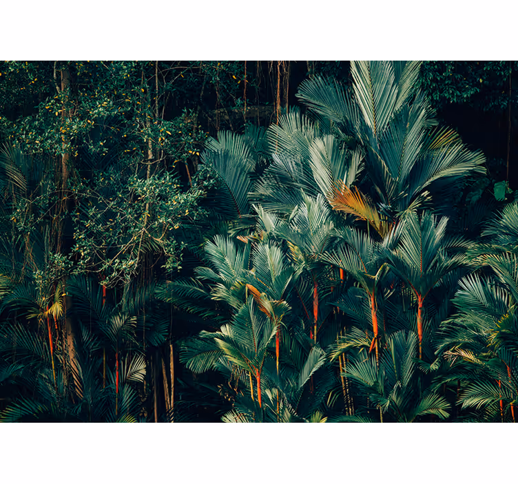 Fototapete natur exotisches palmblattgrün - TenStickers