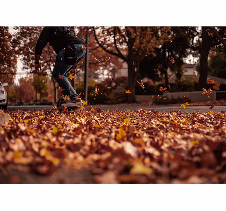 Fototapete andere Städte herbstlaub stkater - TenStickers