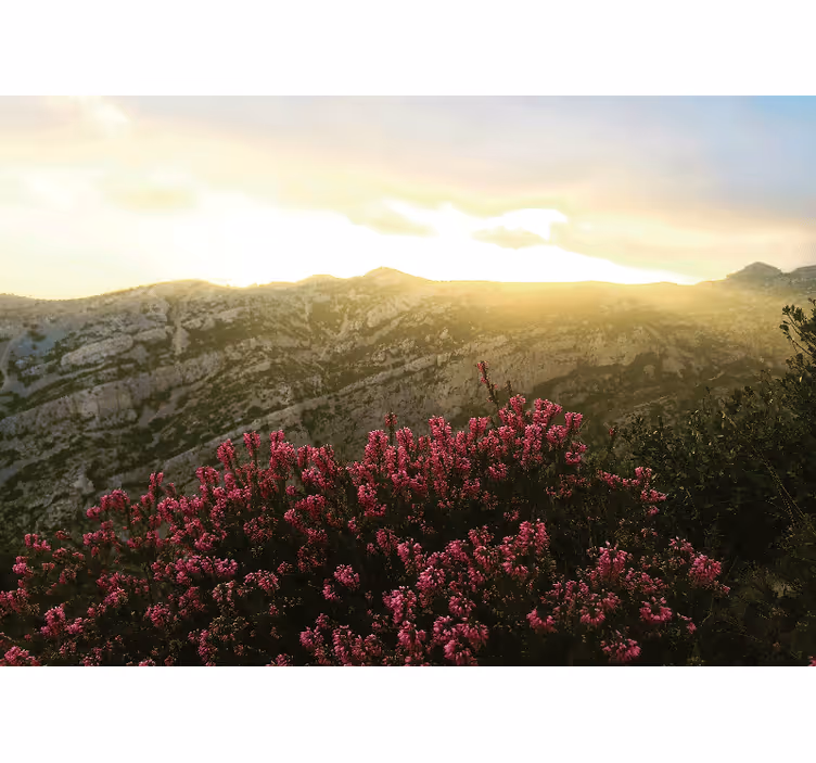 Fototapete natur blühende pinke flora - TenStickers