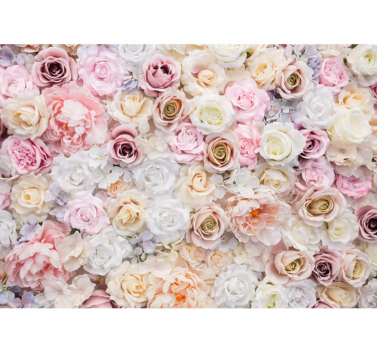 Fototapete Andere Blumen Schöner Hintergrund von rosen - TenStickers