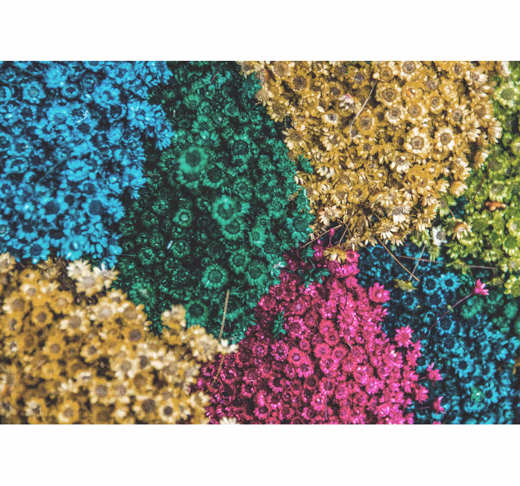 Fototapete blumen bunte blumenmuster - TenStickers
