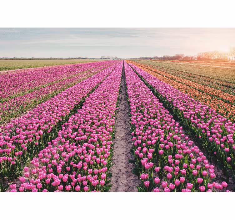 Fototapete blumen tulpenwiesen landschaft - TenStickers