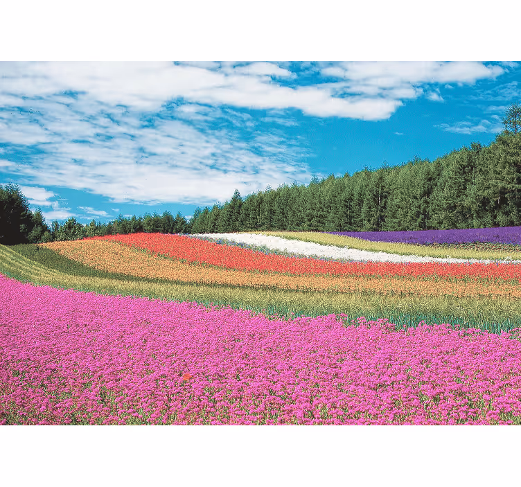 Fototapete blumen lebendige blumenlandschaft - TenStickers