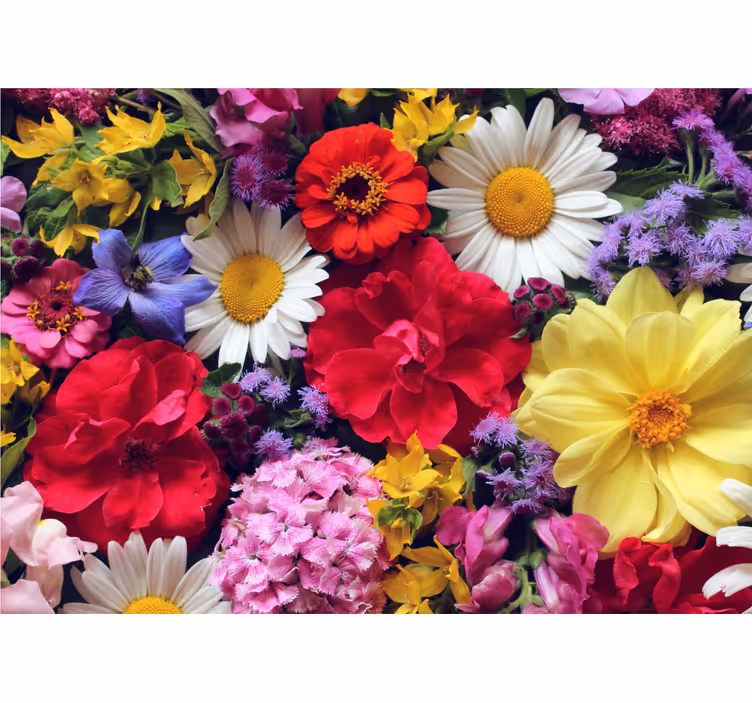 Fototapete blumen lebendige blumenarrangement - TenStickers