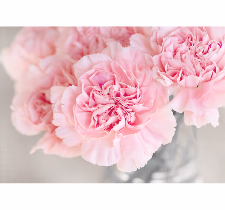 Fototapete blumen mit schönen rosa blüten - TenStickers