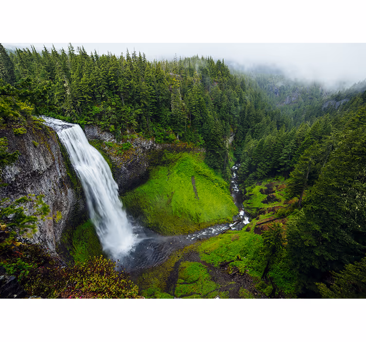 Fototapete natur Üppiger grüner wasserfall - TenStickers