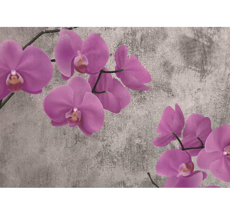 Fototapete blumen rosen orchideenblüten - TenStickers