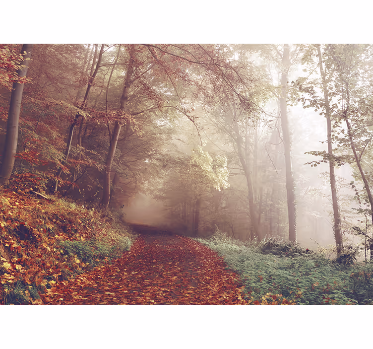 Fototapete wald herbstpfad landschaft - TenStickers
