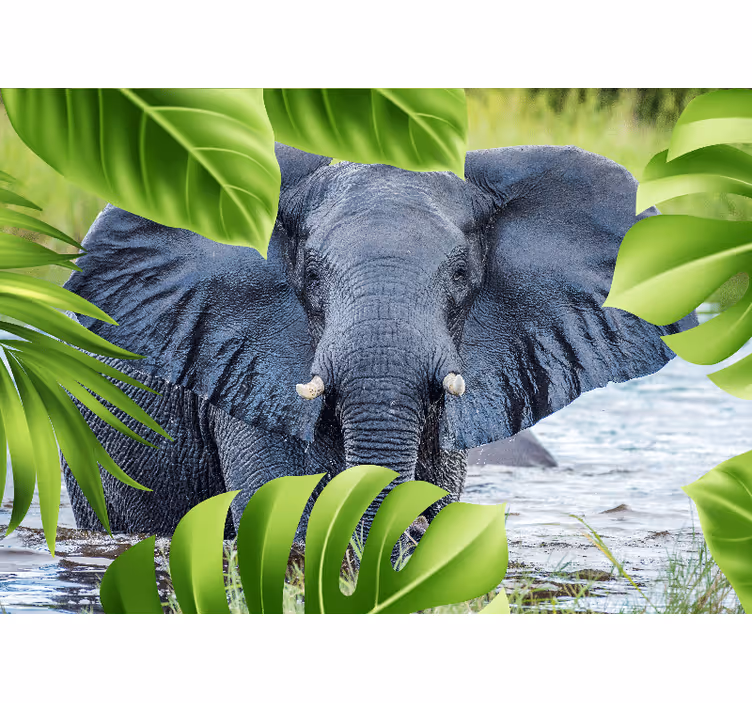 Fototapete tiere elefanten erlebnis - TenStickers