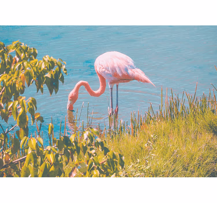 Fototapete Tiere rosa flamingo gelassenheit - TenStickers