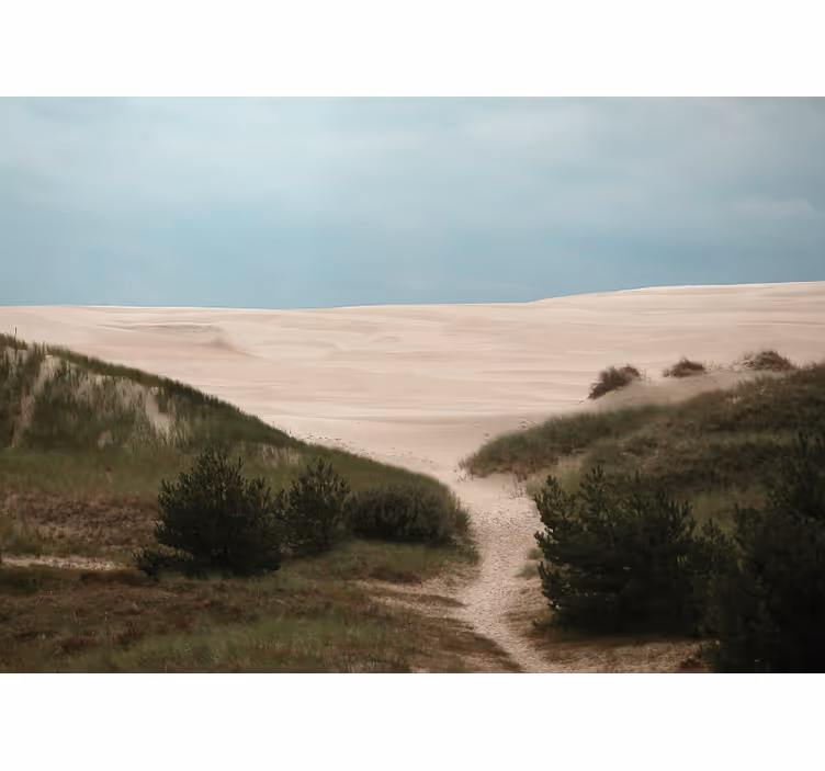 Fototapete landschaft sanddünenweg - TenStickers