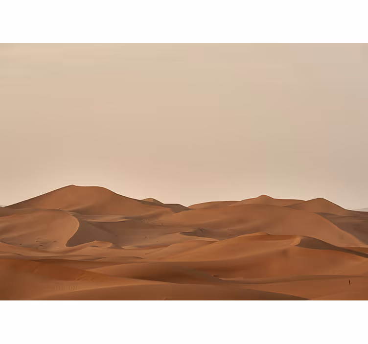 Fototapete wüste sandige landschaft - TenStickers