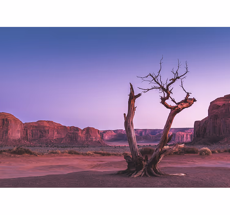 Fototapete landschaft wüstensteinstruktur - TenStickers