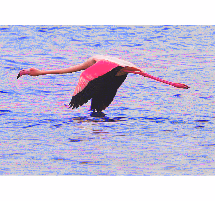 Fototapeten weitere Tiere flamingo im flug - TenStickers